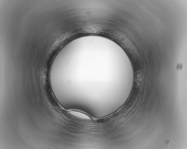 X0000093750544200711131127