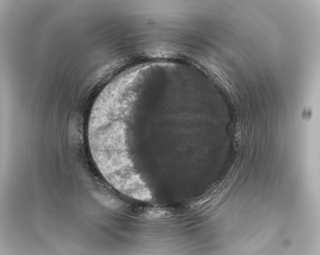 X0000093750547200711131127