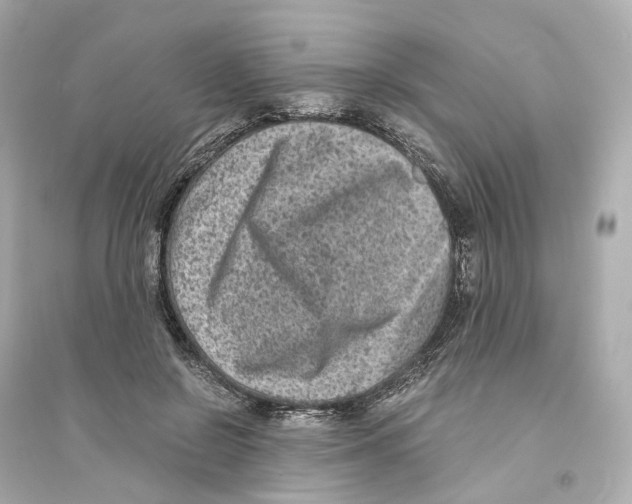 X0000093750550200711131127