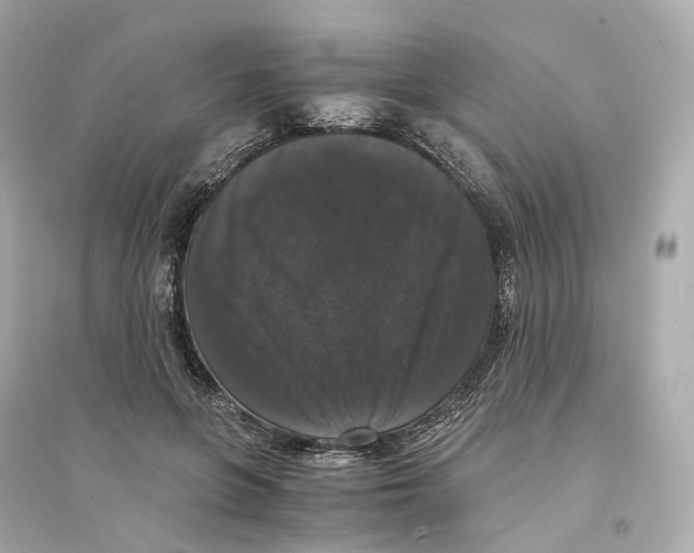 X0000093750551200711131127