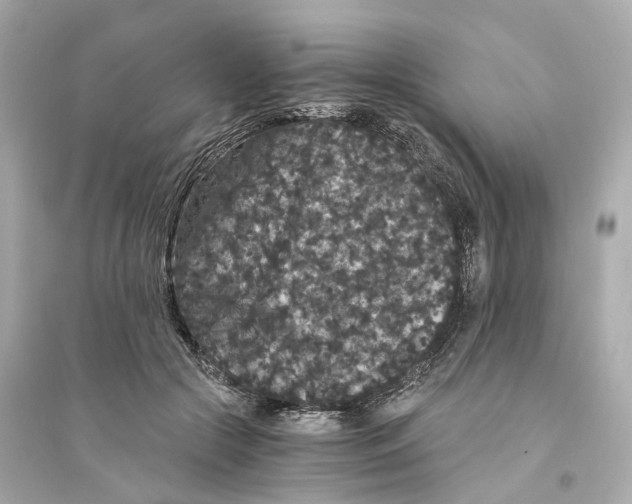 X0000093750553200711131127