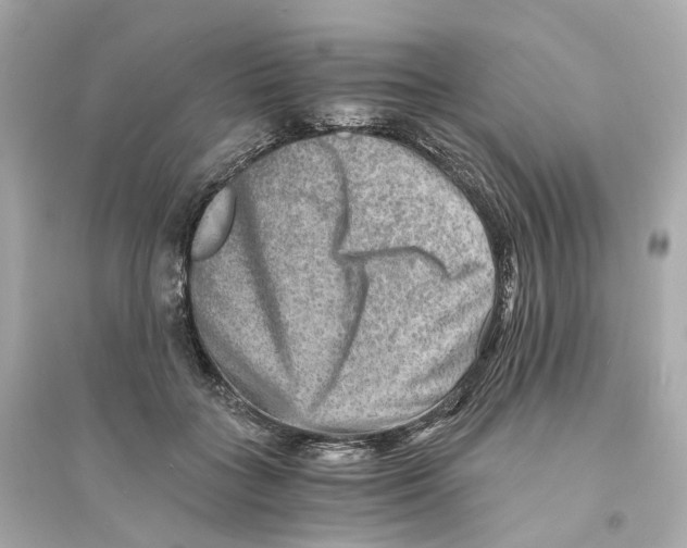 X0000093750555200711131127