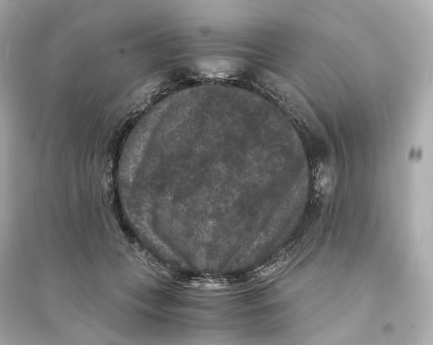 X0000093750559200711131128