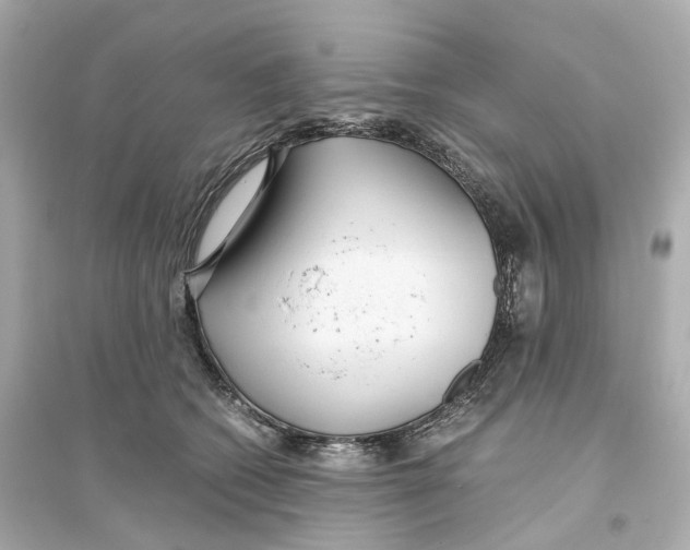 X0000093750562200711131128