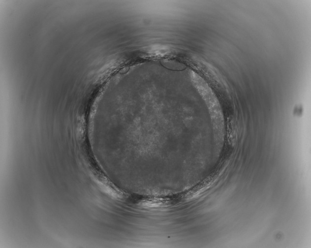 X0000093750563200711131128