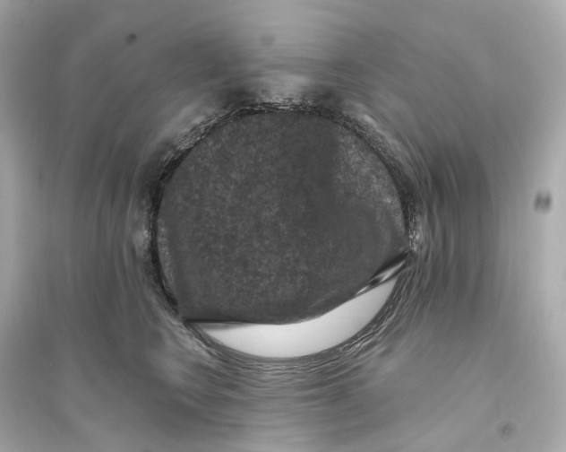 X0000093750566200711131128