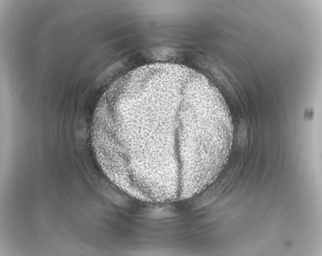 X0000093750569200711131128