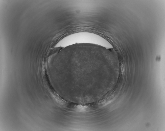 X0000093750570200711131128