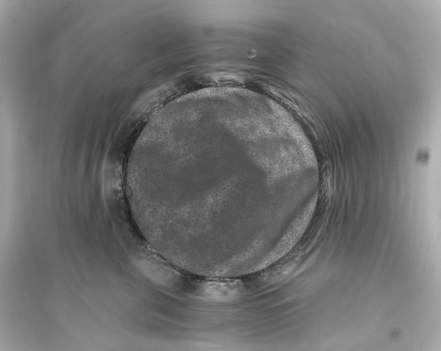 X0000093750571200711131128