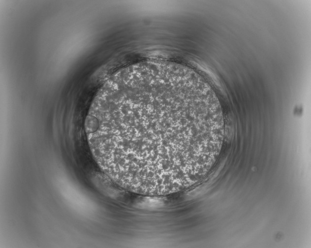 X0000093750573200711131128