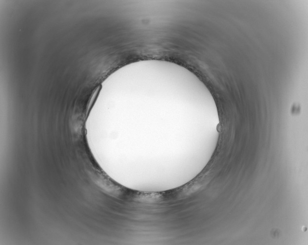 X0000093750576200711131128