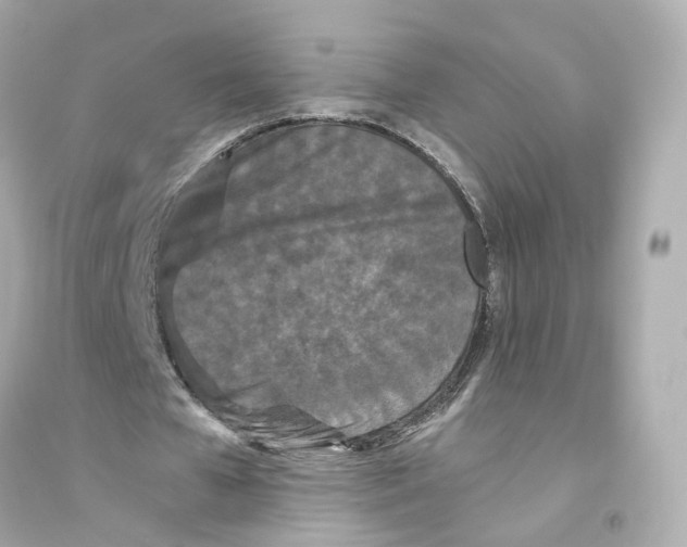 X0000093750577200711131127