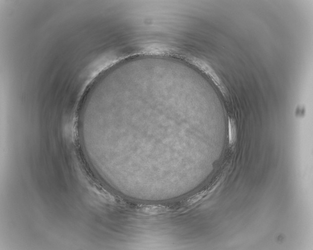 X0000093750579200711131127