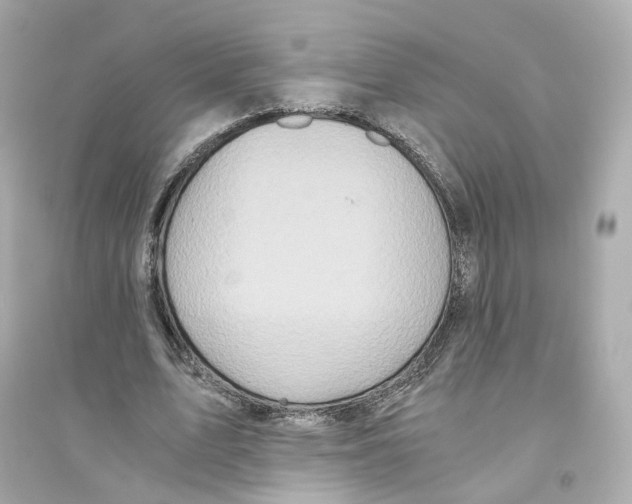 X0000093750583200711131127