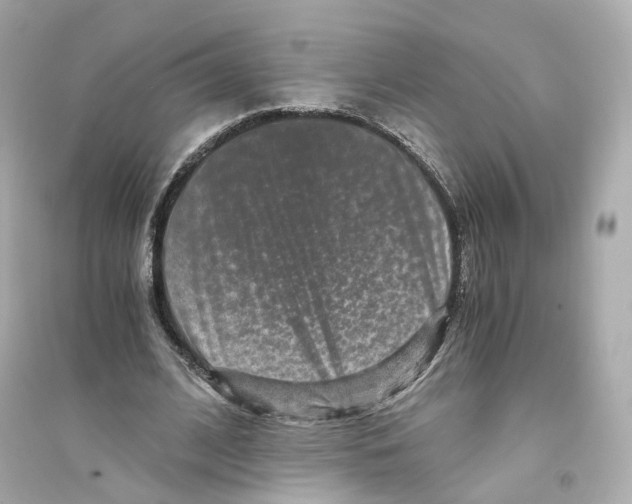 X0000093750584200711131127