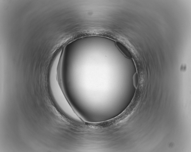 X0000093750585200711131127