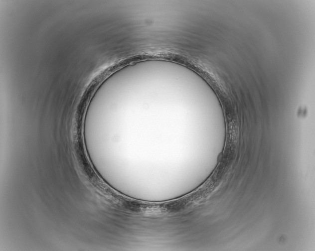 X0000093750587200711131127