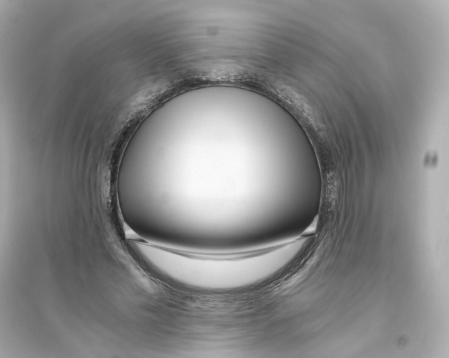 X0000093750589200711131127