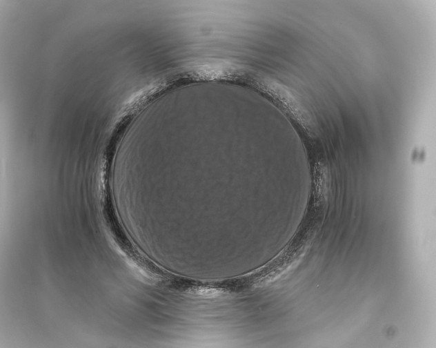 X0000093750590200711131127