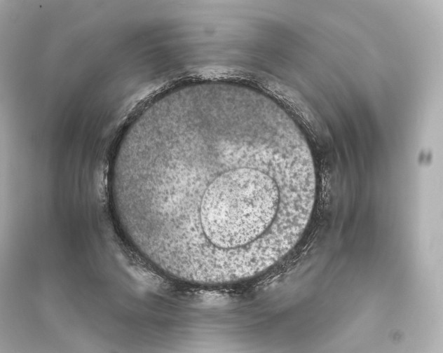 X0000093750592200711131127