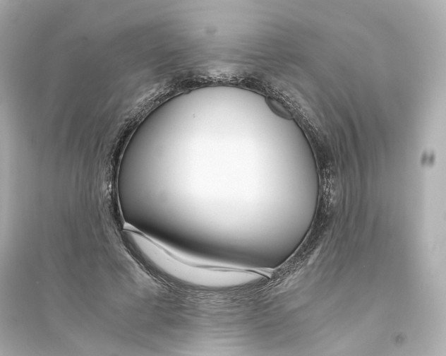 X0000093750593200711131127