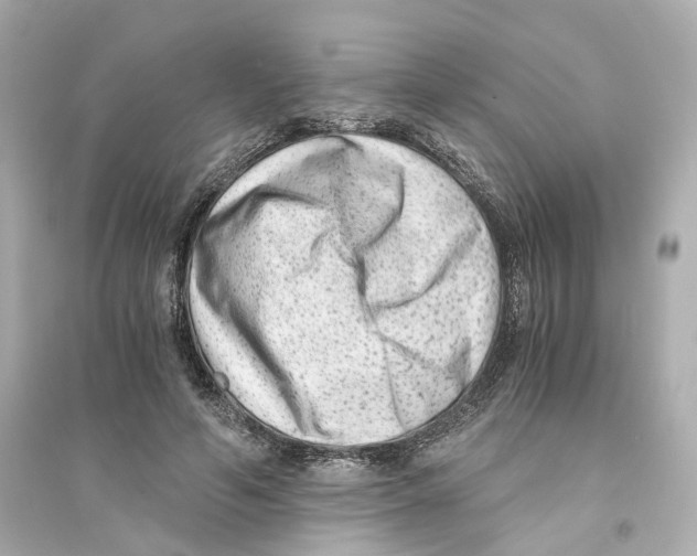 X0000093750594200711131127