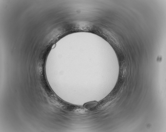 X0000093750595200711131127