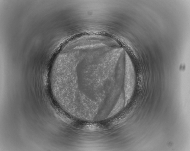 X0000093750596200711131127