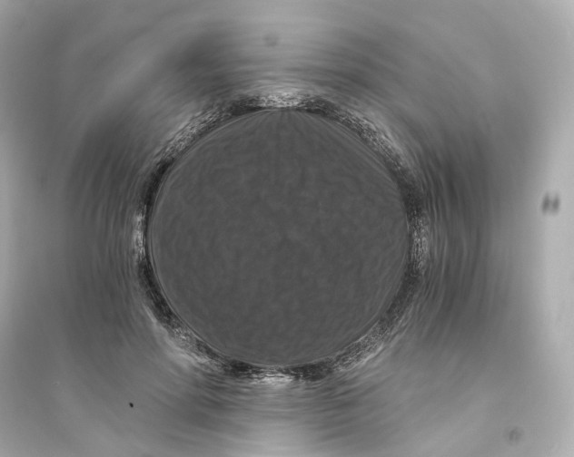 X0000093750598200711131127