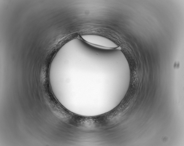 X0000093750600200711131127