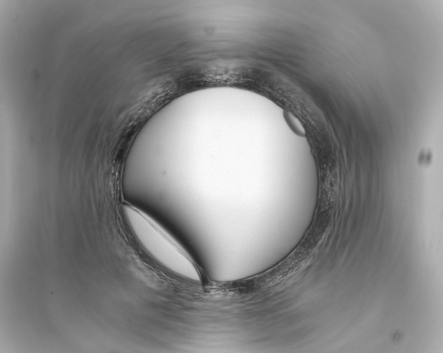 X0000093750601200711131127