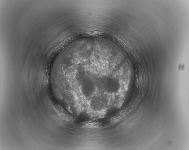 X0000093750606200711131127