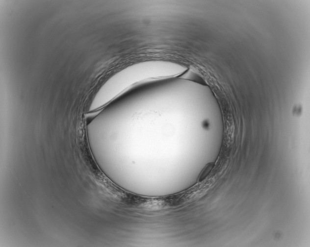 X0000093750609200711131127