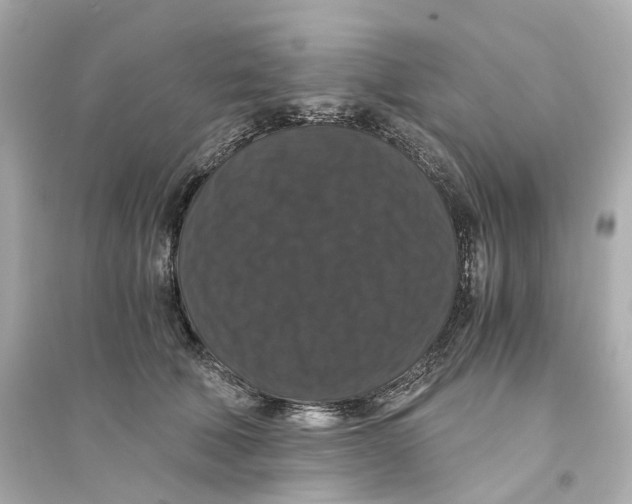 X0000093750610200711131127