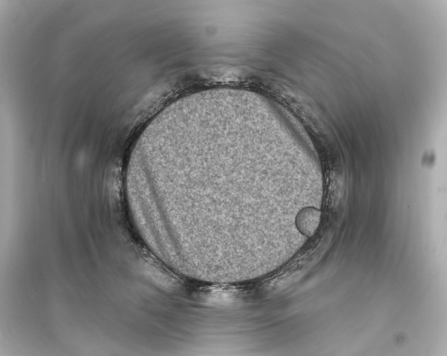 X0000093750612200711131127