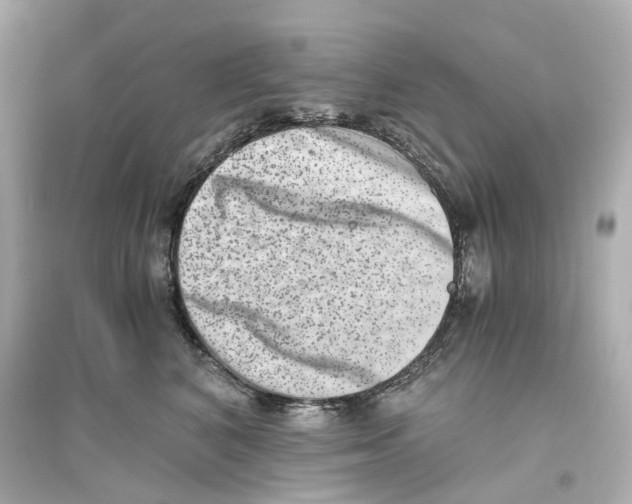 X0000093750616200711131127