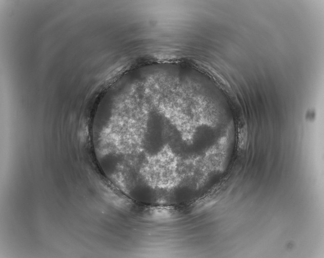 X0000093750618200711131127