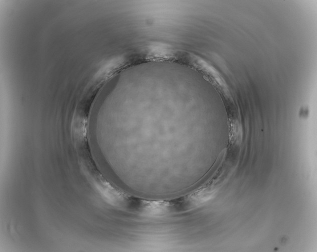 X0000093750621200711131126