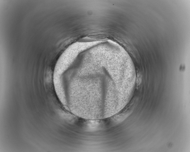 X0000093750623200711131126