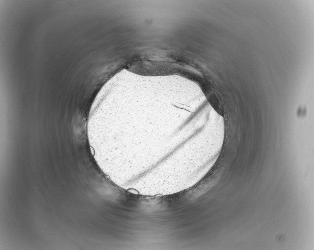 X0000093750624200711131126