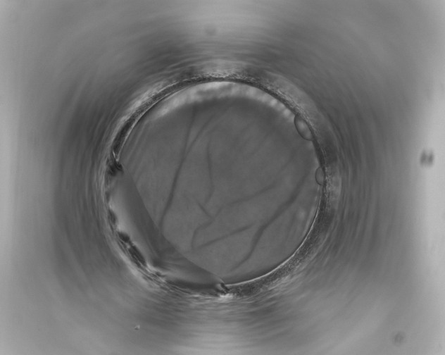 X0000093750626200711131126