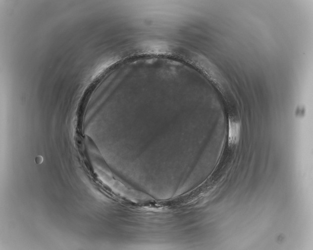 X0000093750627200711131126