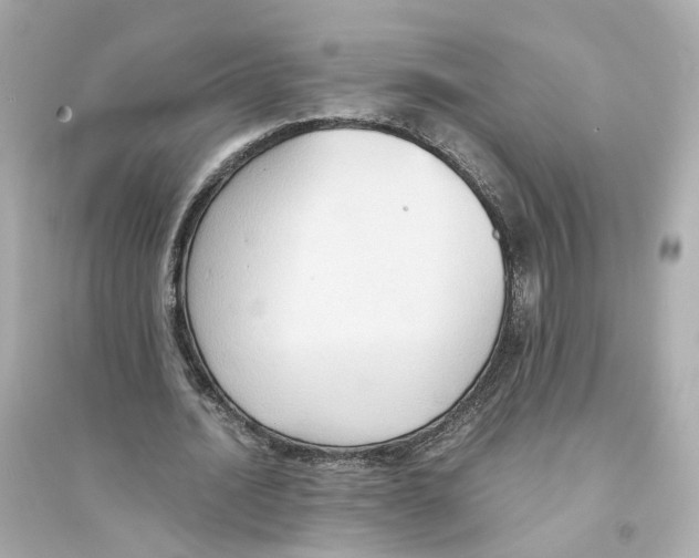 X0000093750628200711131126