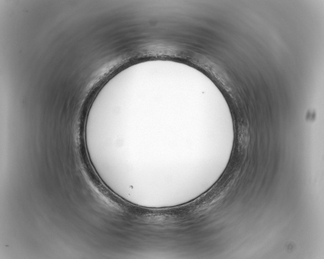 X0000093750629200711131126