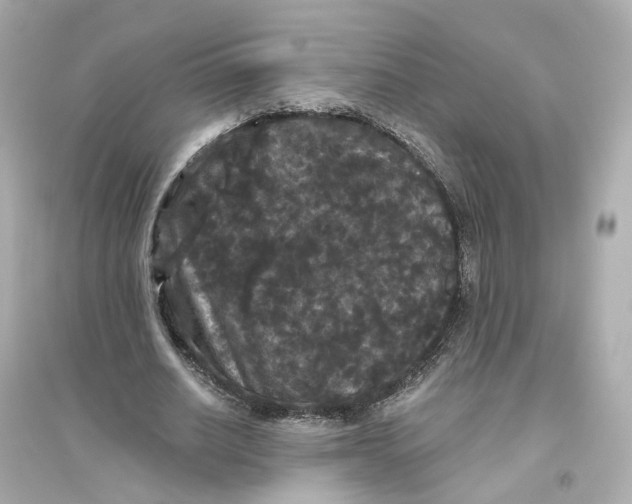 X0000093750630200711131126