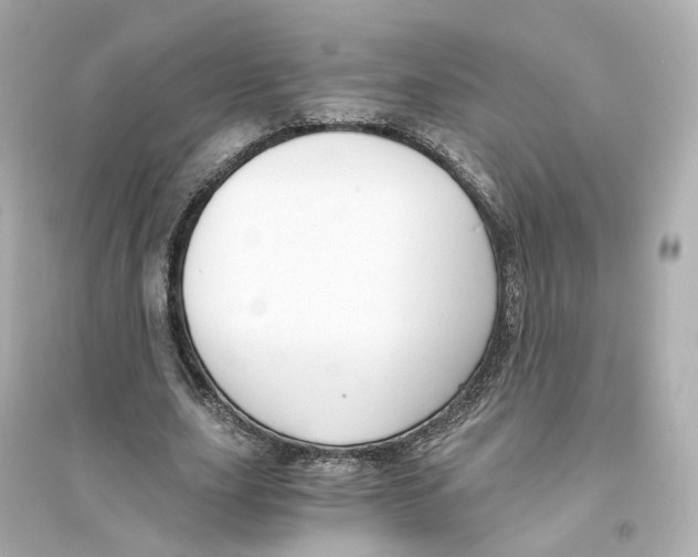 X0000093750631200711131126