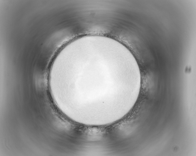 X0000093750632200711131126