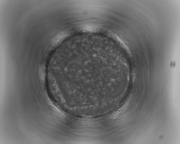 X0000093750637200711131126