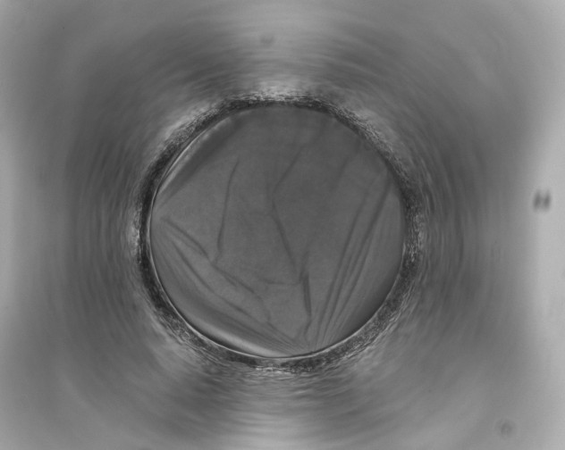 X0000093750640200711131126