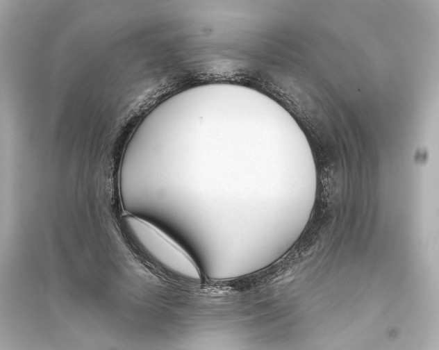 X0000093750642200711131126